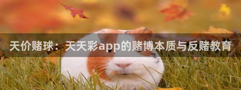 开心彩体育凯捷代理注册：天价赌球：天天彩app的赌博本质与反赌教育