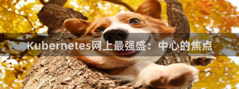 开心彩2平台登录：Kubernetes网上最强盛：中心的焦点