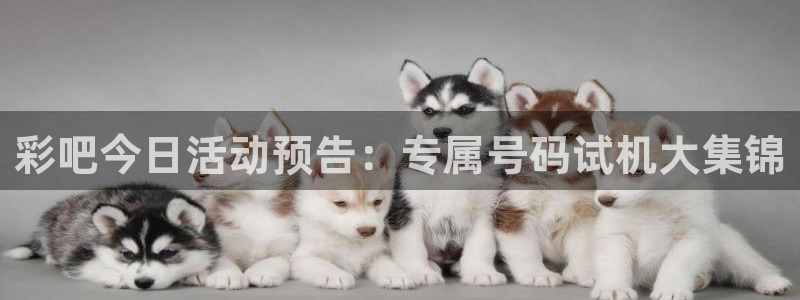 开心彩凯捷平台：彩吧今日活动预告：专属号码试机大集锦